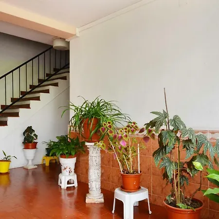 Encarnacao House 아파트 *